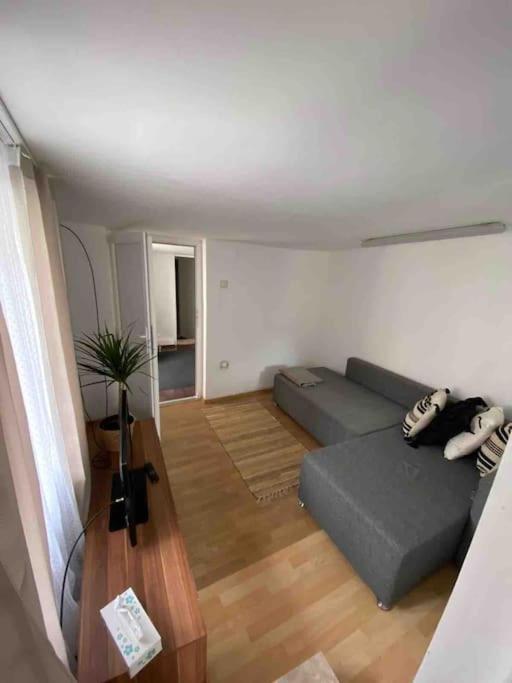 House Apartment In Тимишоара Экстерьер фото